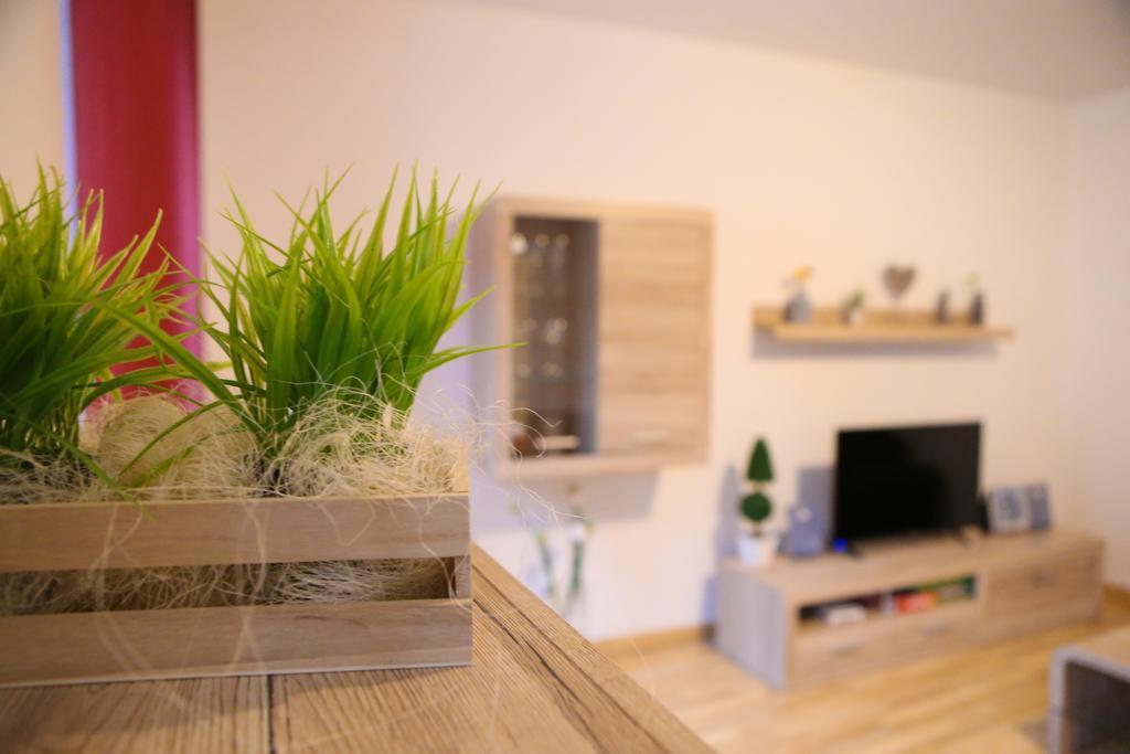 Nepomuk Apartment *